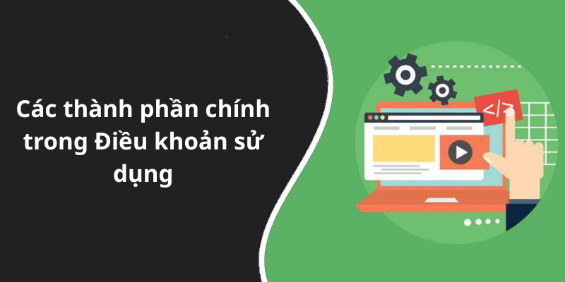 Các thành phần chính trong Điều khoản sử dụng