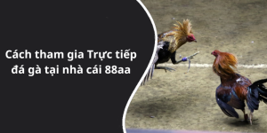Cách tham gia Trực tiếp đá gà tại nhà cái 88aa